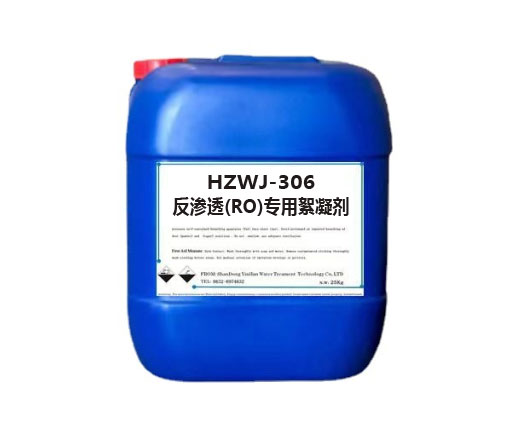 HZWJ-306B͸(RO)